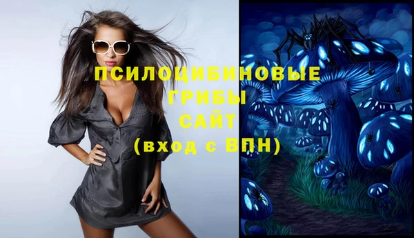 MDMA Premium VHQ Коряжма