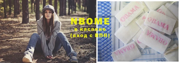 гидра Костерёво