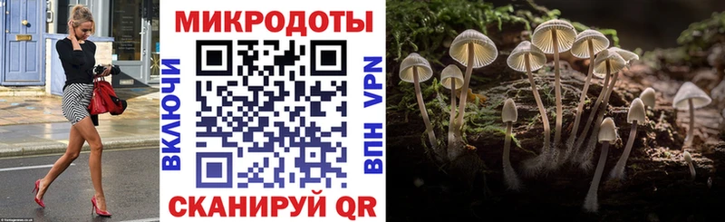 Псилоцибиновые грибы Magic Shrooms  Купить  Верещагино 